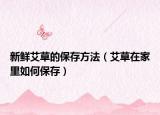 新鲜艾草的保存方法（艾草在家里如何保存）