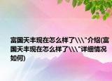 富国天丰现在怎么样了\