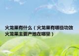 火龙果有什么（火龙果有哪些功效火龙果主要产地在哪里）