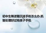 初中生叛逆期沉迷手机怎么办,机智处理好过抢孩子手机