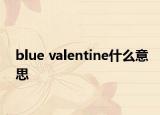 blue valentine什么意思