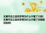 无懈可击之蓝色梦想为什么不播了介绍(无懈可击之蓝色梦想为什么不播了详细情况如何)