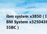 ibm system x3850（IBM System x325043655BC）