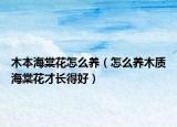 木本海棠花怎么养（怎么养木质海棠花才长得好）