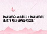培训机构怎么去招生（培训机构招生技巧 培训机构如何招生）