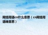 网络用语cn什么意思（cn网络用语啥意思）