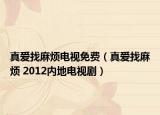 真爱找麻烦电视免费（真爱找麻烦 2012内地电视剧）