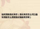 如何清除鱼缸青苔（鱼缸青苔怎么可以最快清除怎么清理鱼缸隔板青苔呢）