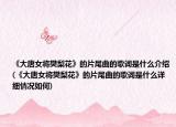 《大唐女将樊梨花》的片尾曲的歌词是什么介绍(《大唐女将樊梨花》的片尾曲的歌词是什么详细情况如何)