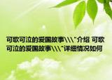 可歌可泣的爱国故事\