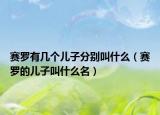 赛罗有几个儿子分别叫什么（赛罗的儿子叫什么名）