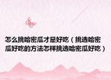 怎么挑哈密瓜才是好吃（挑选哈密瓜好吃的方法怎样挑选哈密瓜好吃）