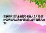 贾静雯阮经天主演的电视剧大全介绍(贾静雯阮经天主演的电视剧大全详细情况如何)