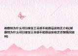 谢霆锋为什么可以接受王菲却不能原谅张柏芝介绍(谢霆锋为什么可以接受王菲却不能原谅张柏芝详细情况如何)