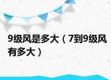 9级风是多大（7到9级风有多大）