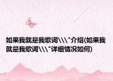 如果我就是我歌词\