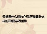 天堂是什么样的介绍(天堂是什么样的详细情况如何)