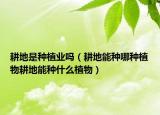 耕地是种植业吗（耕地能种哪种植物耕地能种什么植物）
