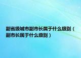 副省级城市副市长属于什么级别（副市长属于什么级别）