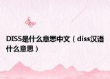 DISS是什么意思中文（diss汉语什么意思）