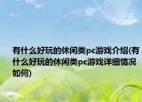 有什么好玩的休闲类pc游戏介绍(有什么好玩的休闲类pc游戏详细情况如何)