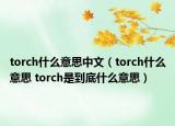 torch什么意思中文（torch什么意思 torch是到底什么意思）