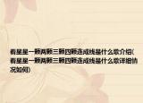 看星星一颗两颗三颗四颗连成线是什么歌介绍(看星星一颗两颗三颗四颗连成线是什么歌详细情况如何)