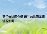 荷兰vs法国介绍 荷兰vs法国详细情况如何
