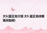 大S(蓝正龙介绍 大S 蓝正龙详细情况如何)