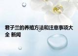君子兰的养殖方法和注意事项大全 新闻