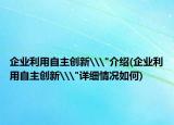 企业利用自主创新\