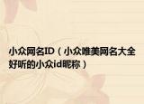 小众网名ID（小众唯美网名大全好听的小众id昵称）