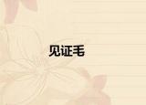 见证毛