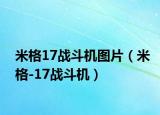 米格17战斗机图片（米格-17战斗机）