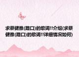 求蔡健雅(路口)的歌词!!介绍(求蔡健雅(路口)的歌词!!详细情况如何)