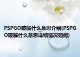 PSPGO破解什么意思介绍(PSPGO破解什么意思详细情况如何)