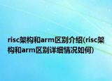 risc架构和arm区别介绍(risc架构和arm区别详细情况如何)