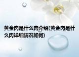 黄金肉是什么肉介绍(黄金肉是什么肉详细情况如何)