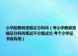小学的教师资格证分科吗（考小学教师资格证分科吗笔试不分面试分,考个小学证书挺有用）