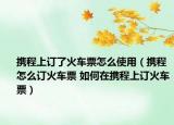 携程上订了火车票怎么使用（携程怎么订火车票 如何在携程上订火车票）