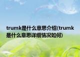 trumk是什么意思介绍(trumk是什么意思详细情况如何)