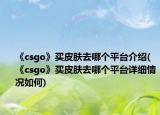 《csgo》买皮肤去哪个平台介绍(《csgo》买皮肤去哪个平台详细情况如何)