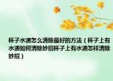 杯子水渍怎么清除最好的方法（杯子上有水渍如何清除妙招杯子上有水渍怎样清除妙招）