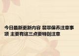 今日最新更新内容 翡翠保养注意事项 主要有这三点要特别注意