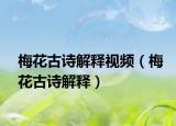 梅花古诗解释视频（梅花古诗解释）