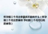 怀孕前三个月注意事项不能吃什么（怀孕前三个月注意事项 孕妇前三个月可以吃的食物）