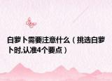 白萝卜需要注意什么（挑选白萝卜时,认准4个要点）