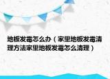 地板发霉怎么办（家里地板发霉清理方法家里地板发霉怎么清理）