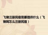 飞猪注册民宿需要提供什么（飞猪网怎么注册民宿）