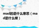mad的是什么意思（mad是什么梗）